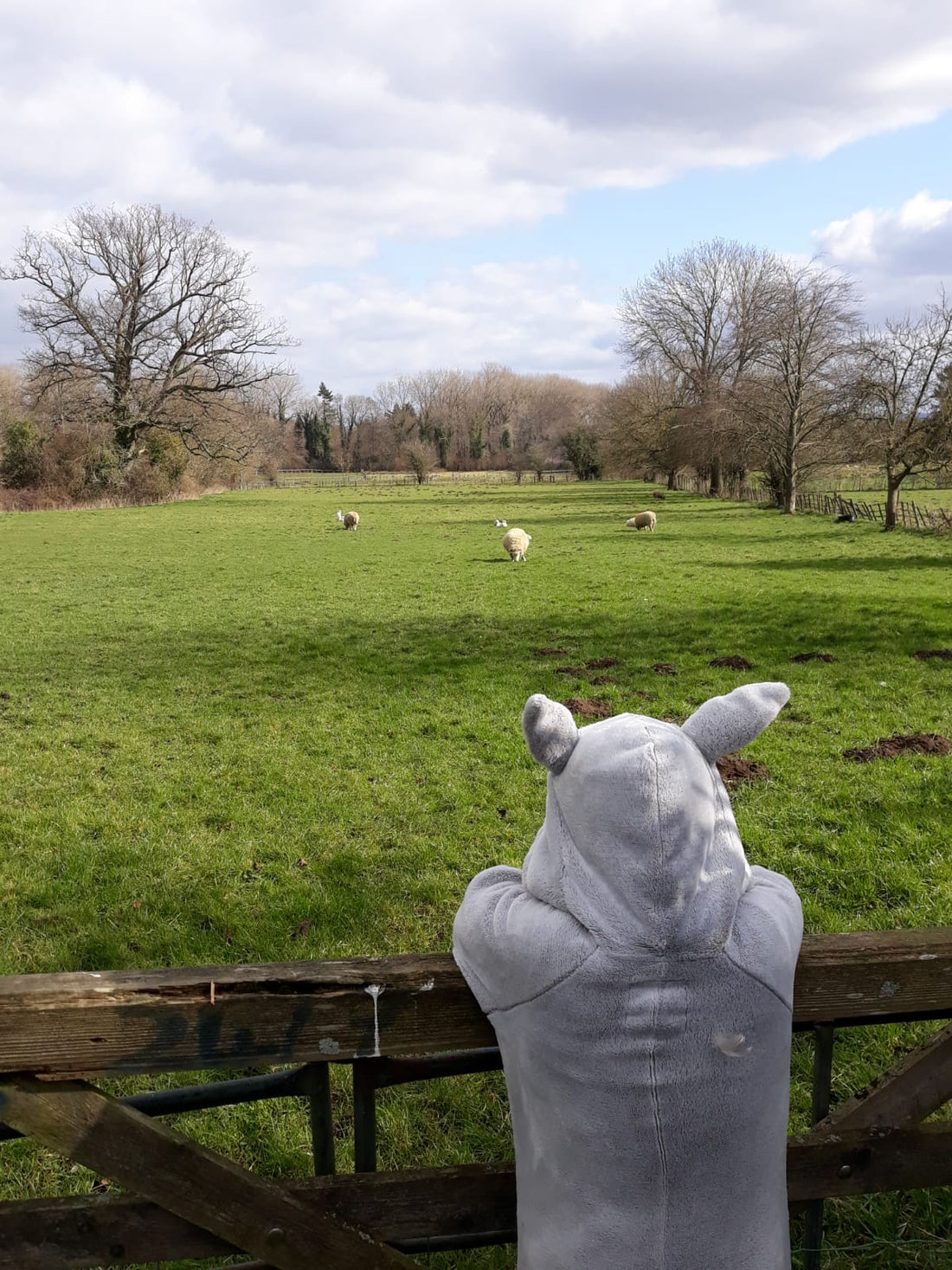 I just..... a poem on procrastination